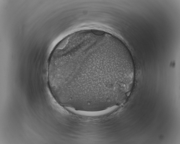 X0000114141522200911051409