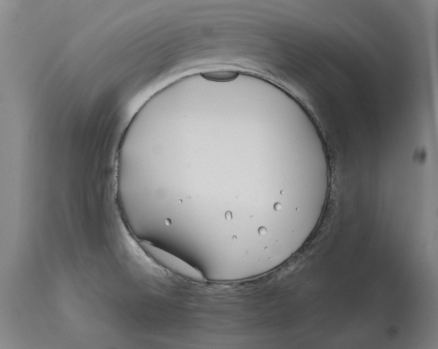 X0000114141524200911051409