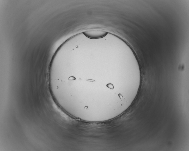 X0000114141527200911051410