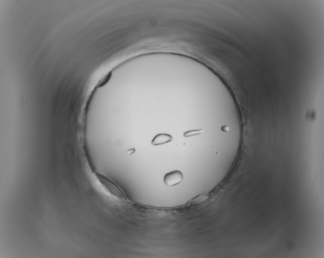 X0000114141528200911051410