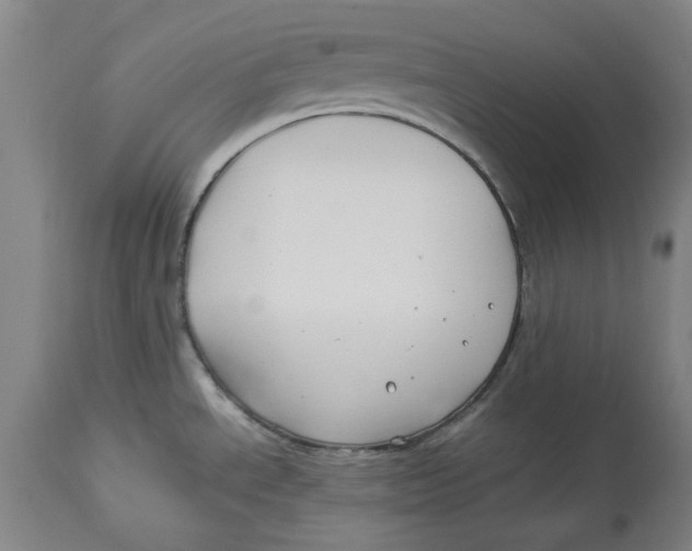 X0000114141534200911051410