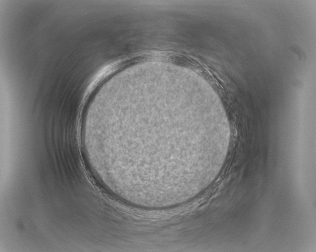 X0000114140006200911191153