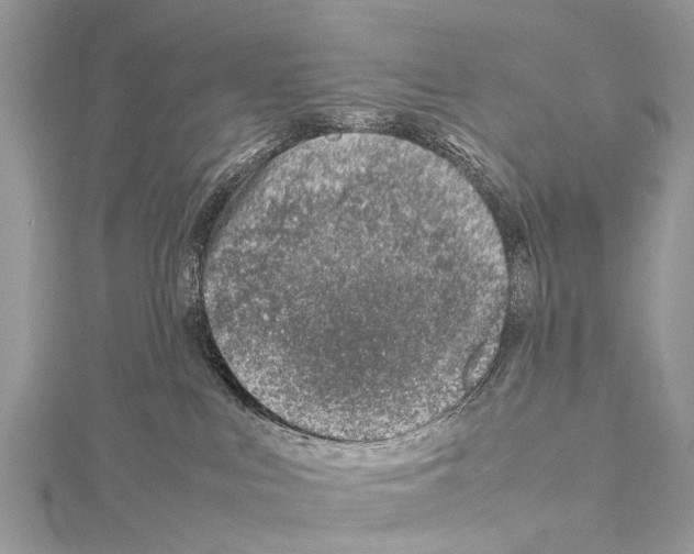 X0000114140043200911191152