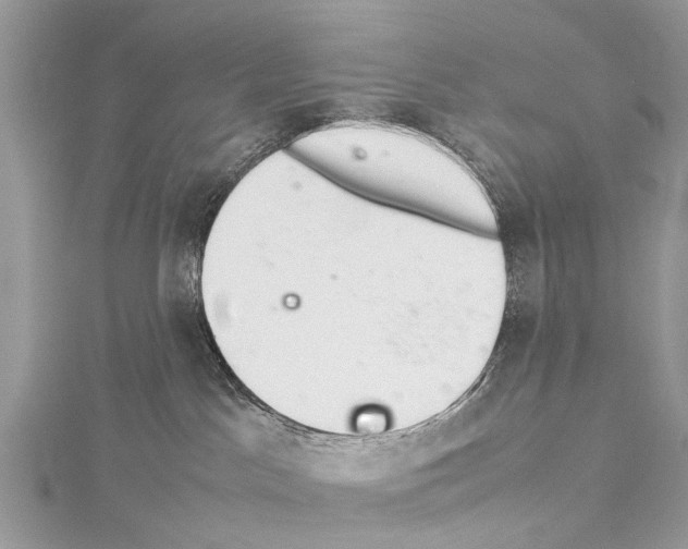 X0000114140045200911191152