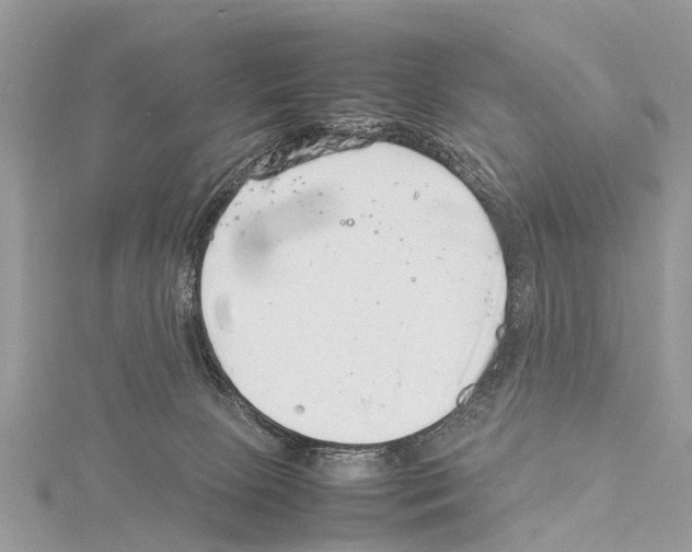 X0000114140081200911191152