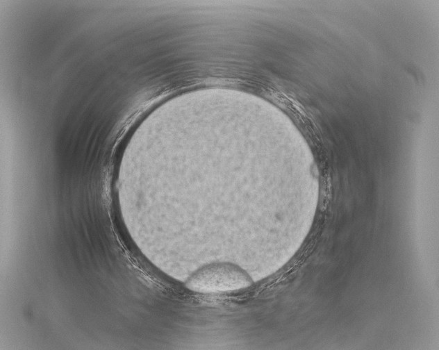 X0000114140098200911191152