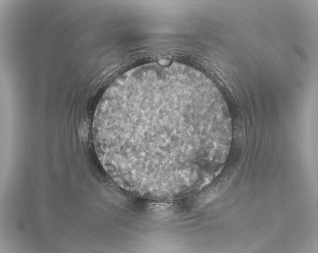 X0000114140139200911191151