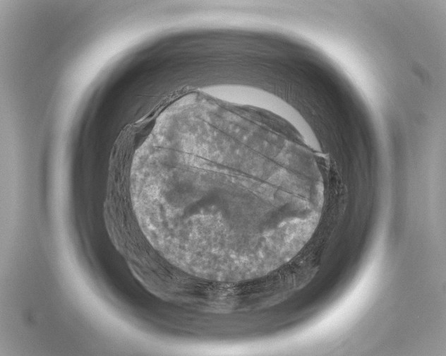 X0000114140143200911191151