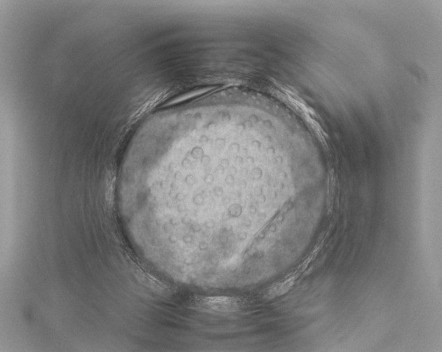 X0000114140153200911191150