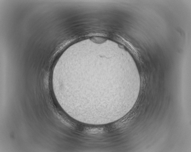 X0000114140155200911191150