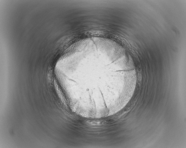 X0000114140181200911191151