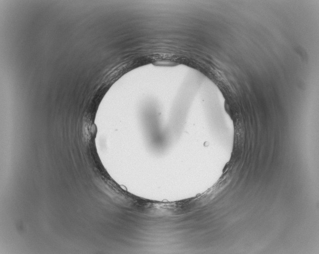 X0000114140188200911191151