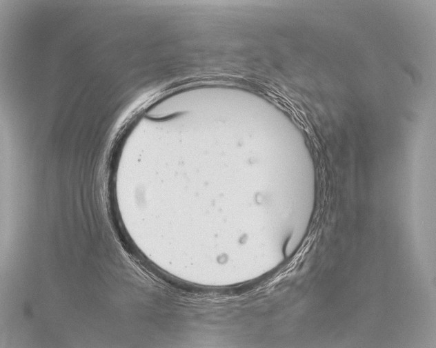 X0000114140197200911191150