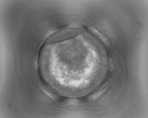 X0000114140203200911191150