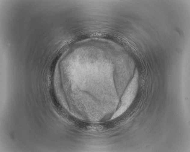 X0000114140215200911191150