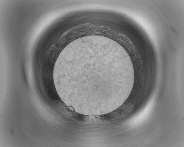 X0000114140239200911191150