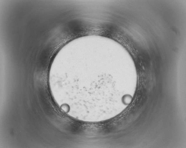 X0000114140297200911191149