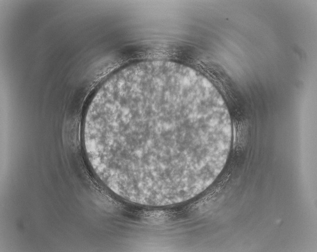 X0000114140301200911191149