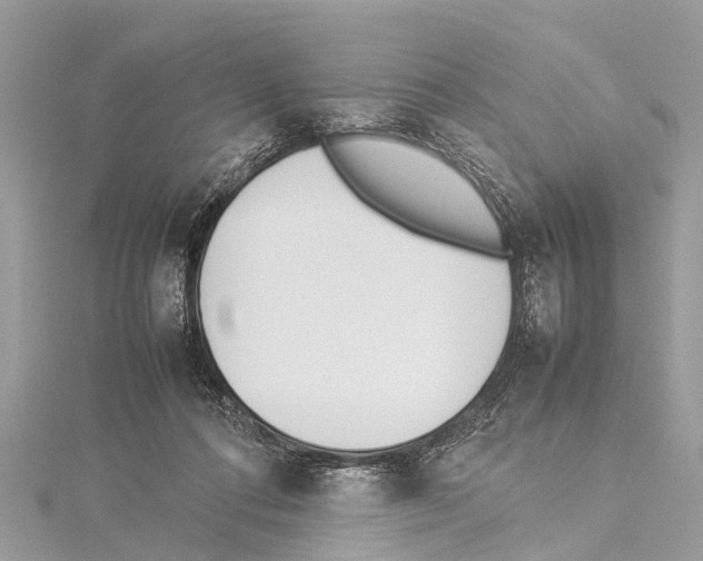 X0000114140312200911191148