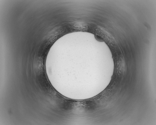 X0000114140320200911191148