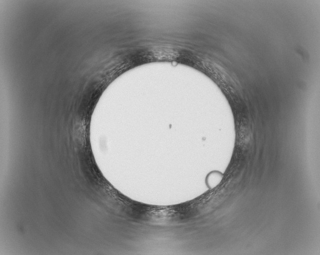 X0000114140321200911191148