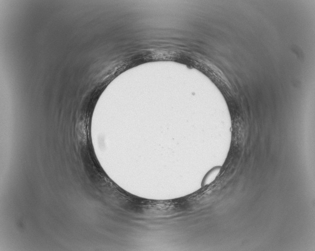 X0000114140329200911191148