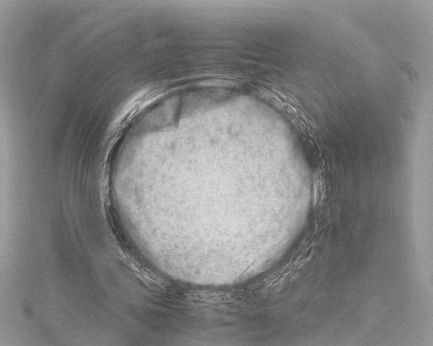 X0000114140339200911191148