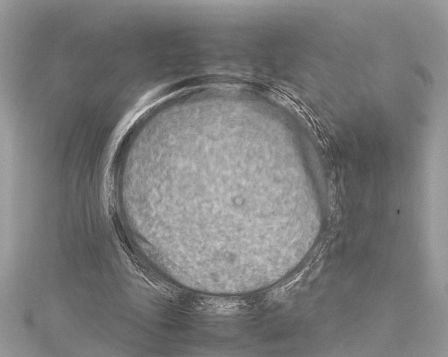 X0000114140343200911191148