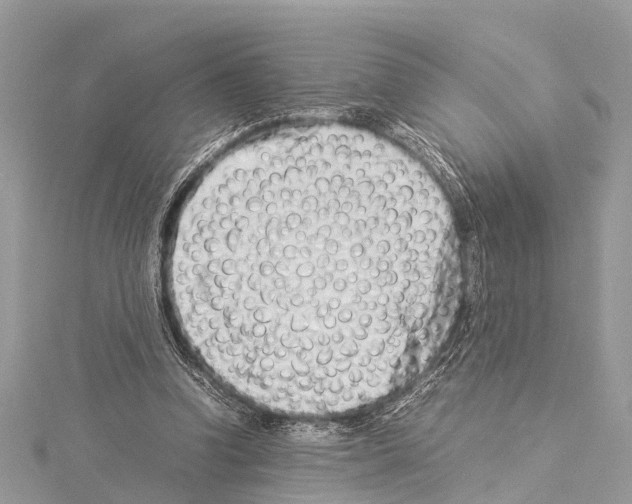 X0000114140346200911191148