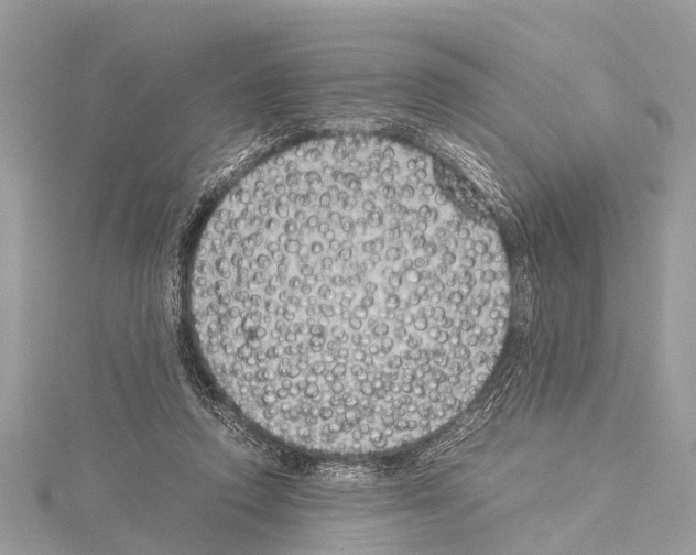 X0000114140354200911191148