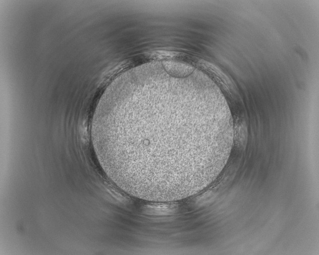 X0000114140381200911191148