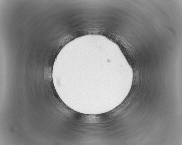 X0000114140383200911191148