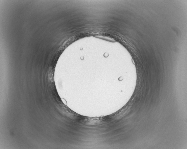 X0000114140384200911191148