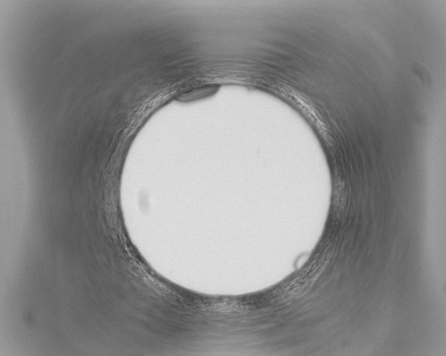 X0000114140385200911191148