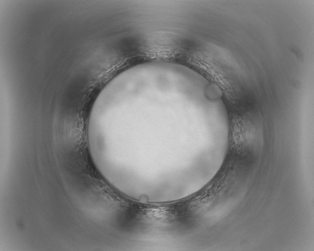 X0000114140411200911191147