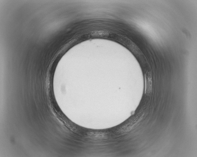 X0000114140435200911191146