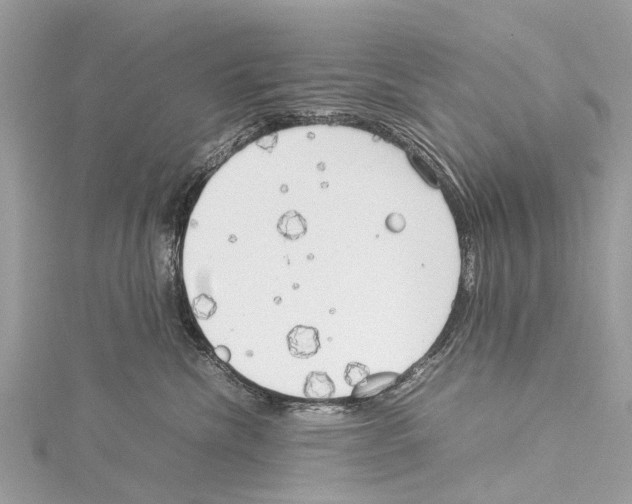 X0000114140476200911191147