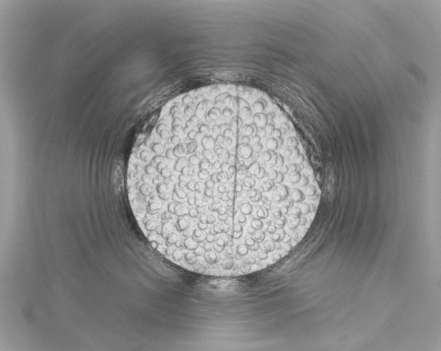 X0000114140478200911191147