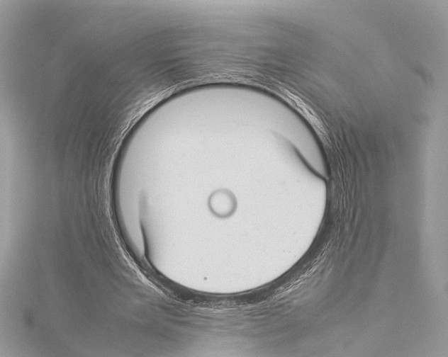 X0000114140485200911191146