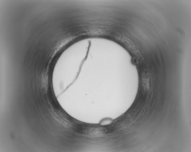 X0000114140488200911191146