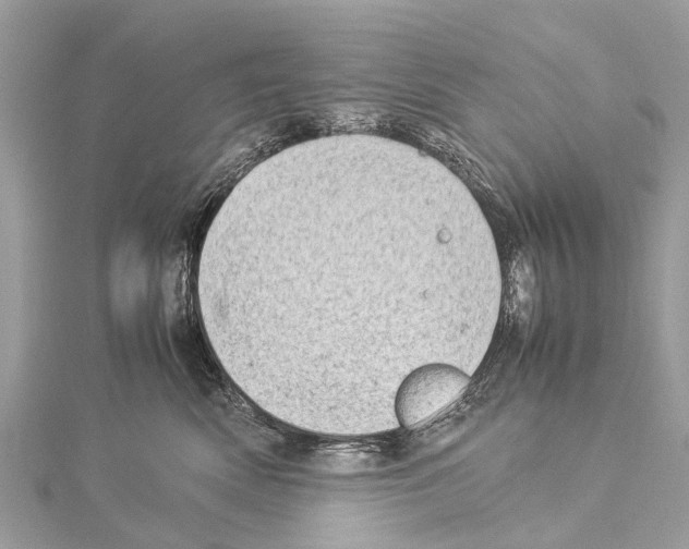 X0000114140522200911191146