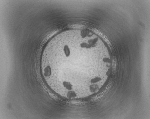 X0000114140529200911191145