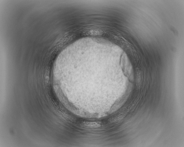 X0000114140553200911191145