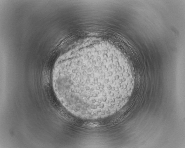 X0000114140554200911191145