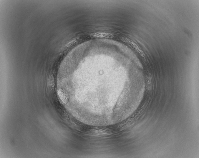 X0000114140569200911191146