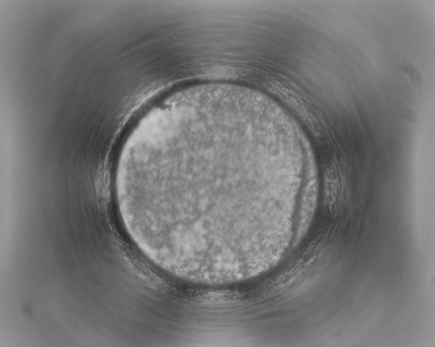 X0000114140584200911191145