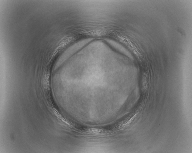 X0000114140585200911191145