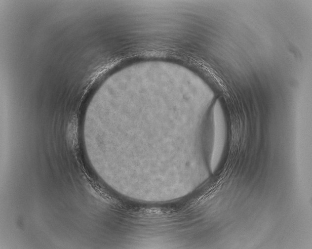 X0000114140588200911191145