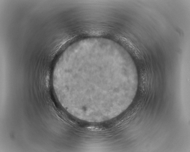 X0000114140596200911191145