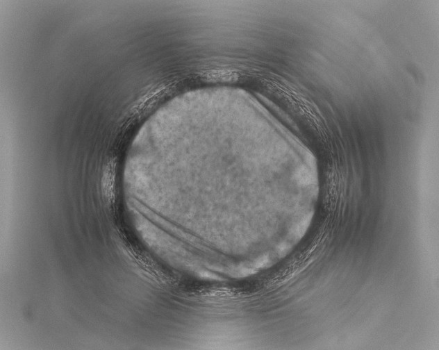 X0000114140600200911191145